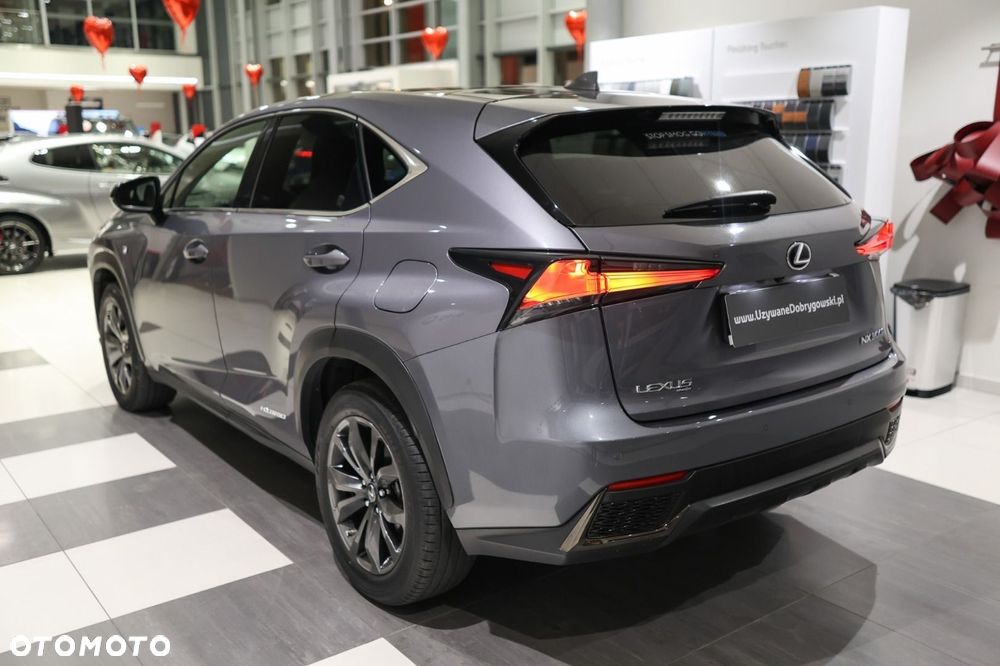 Lexus NX - 5
