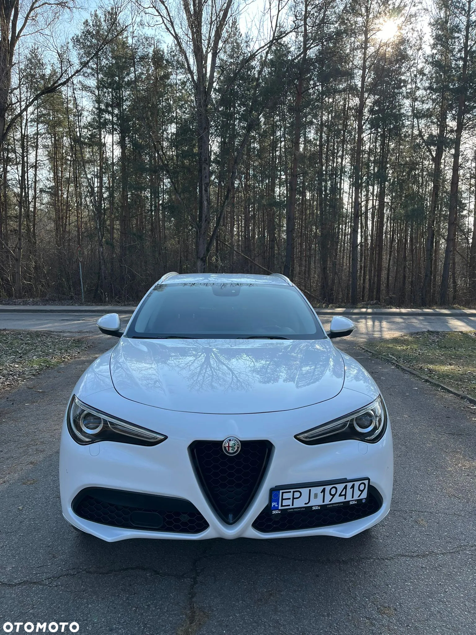 Alfa Romeo Stelvio 2.0 Turbo Executive Q4 - 9
