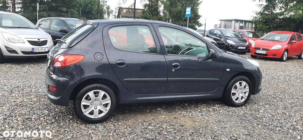 Peugeot 206 plus - 22