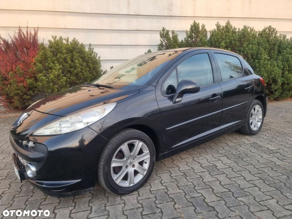Peugeot 207 - 19