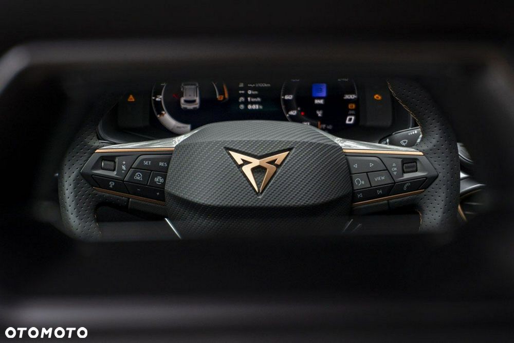 Cupra Formentor - 25