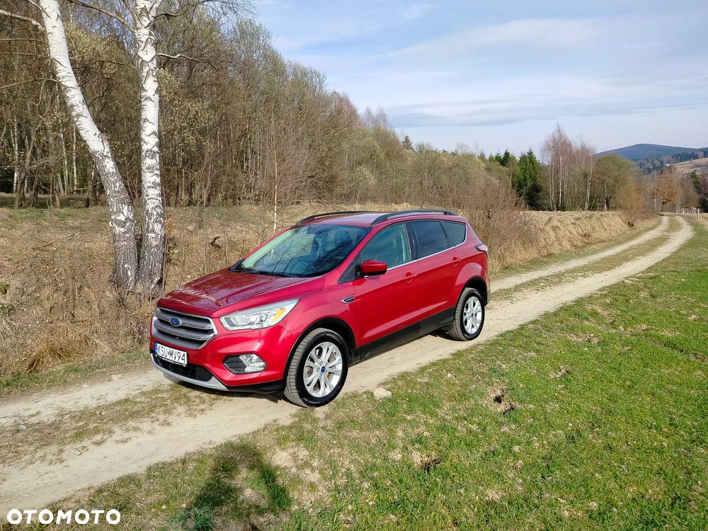 Ford Escape - 1