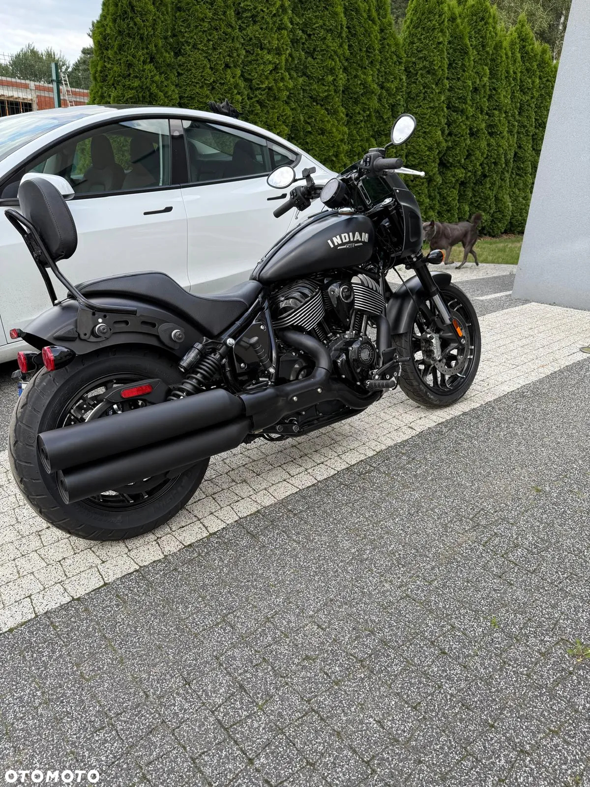 Indian Chief - 11
