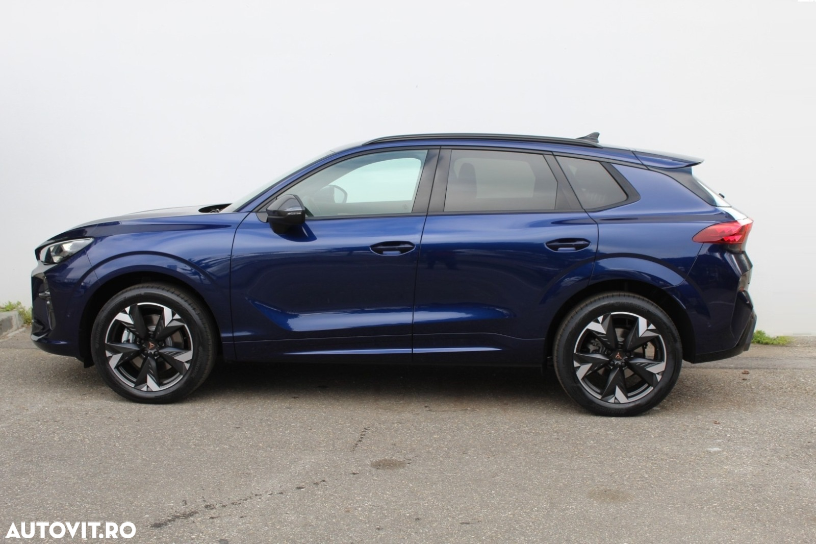 Cupra Terramar - 5