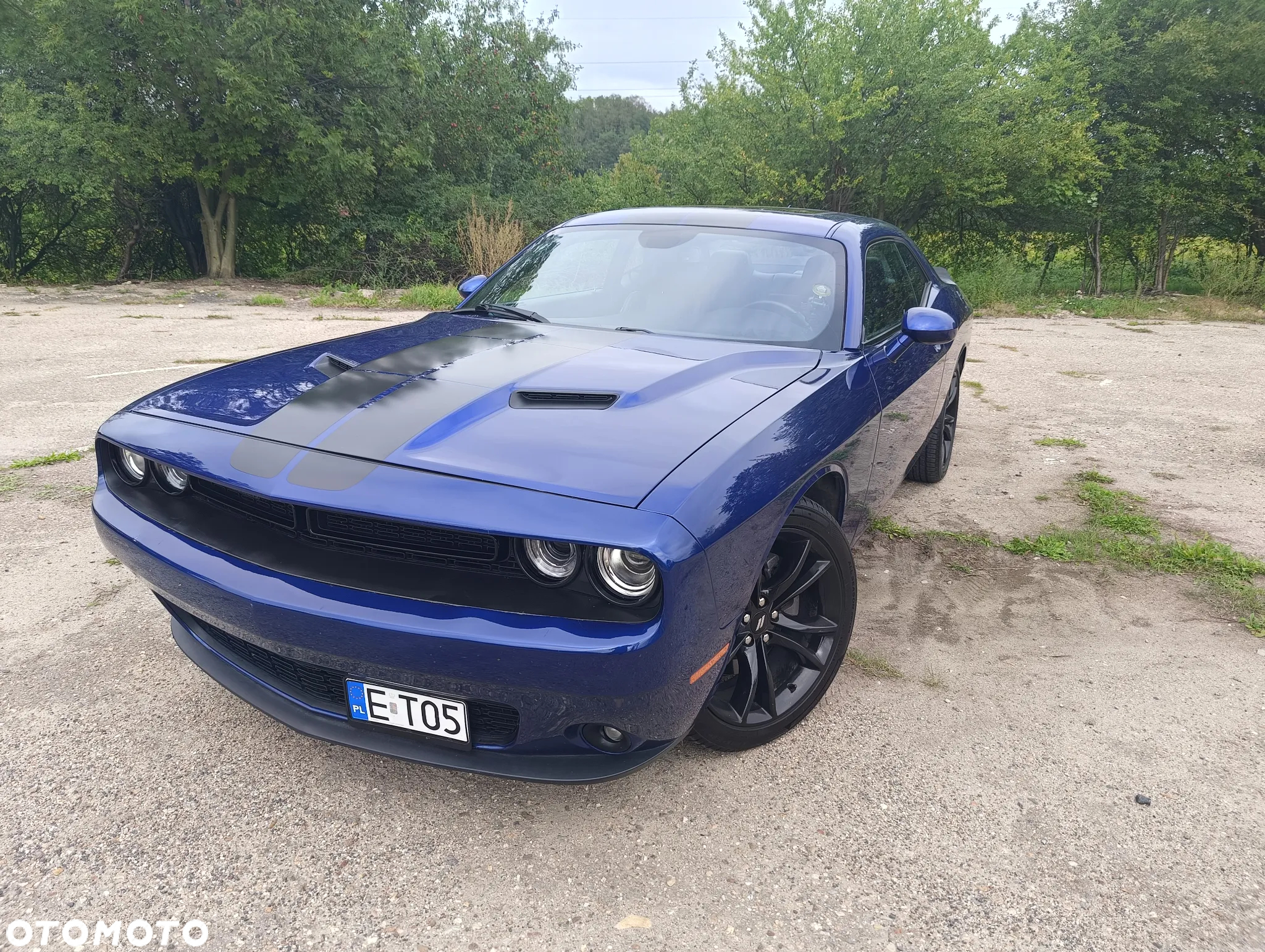 Dodge Challenger Automatik SXT Plus - 2