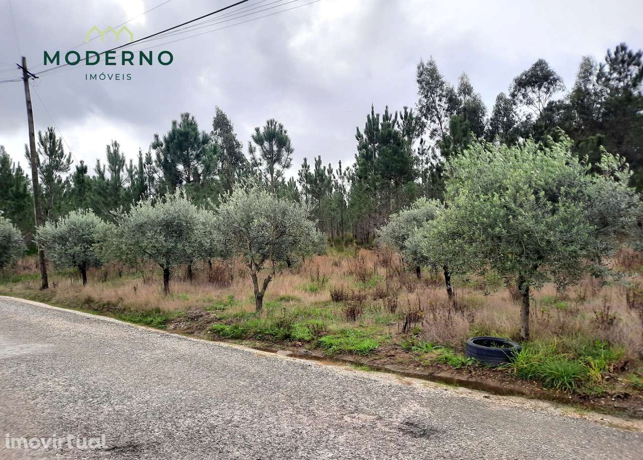 Terreno Construção – Outeiro da Ranha, Vermoil – Pombal - Grande imagem: 2/9