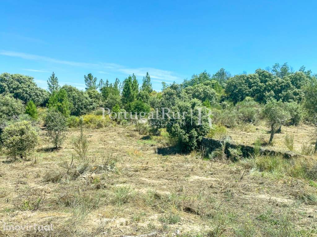 Herdade com 108 hectares em Idanha-a-Nova - Grande imagem: 4/14