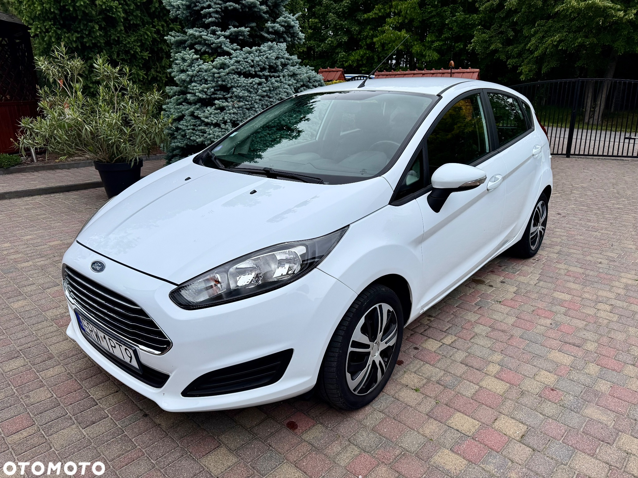 Ford Fiesta - 5