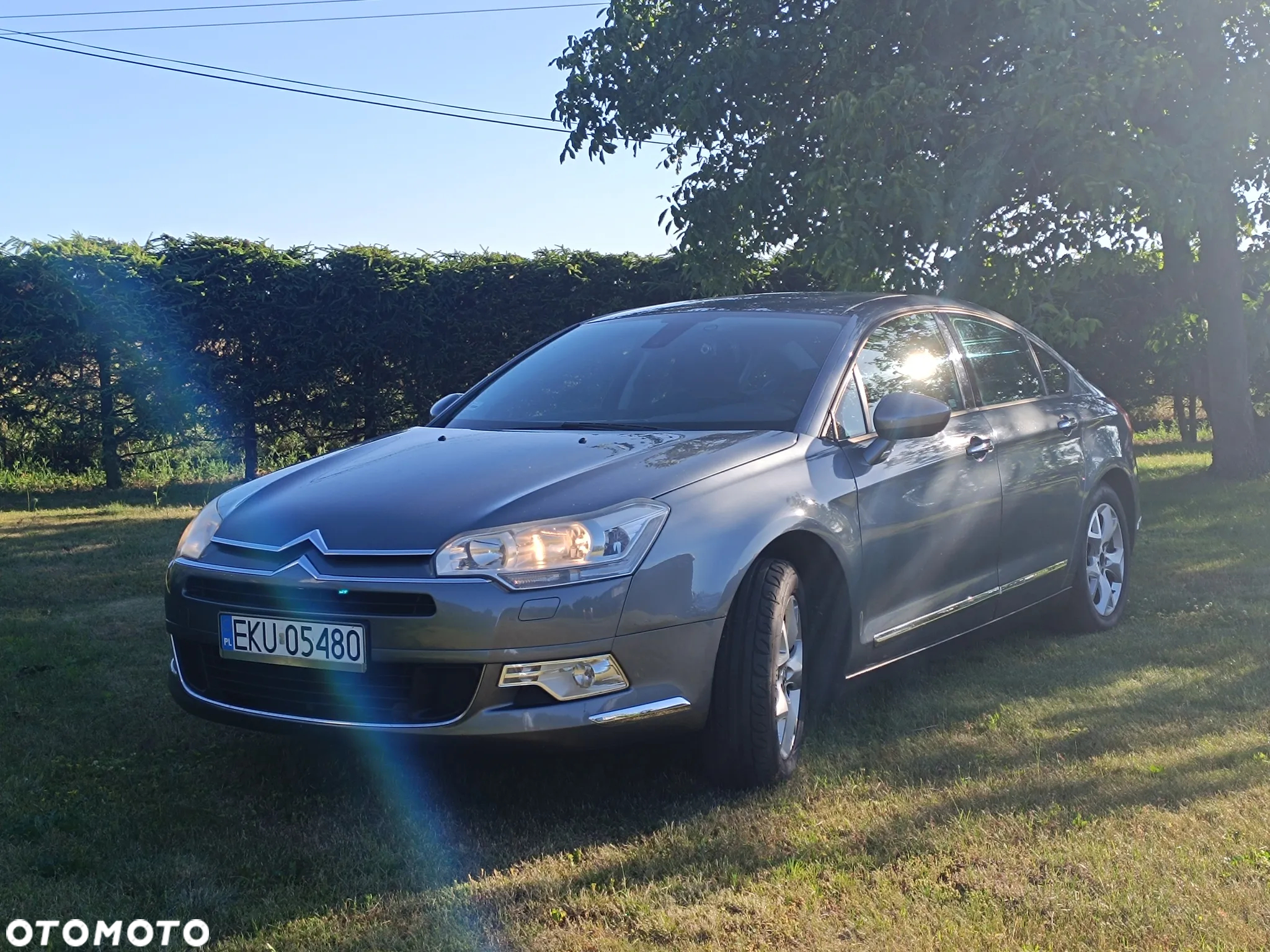 Citroën C5 2.0i 16V Dynamique - 5