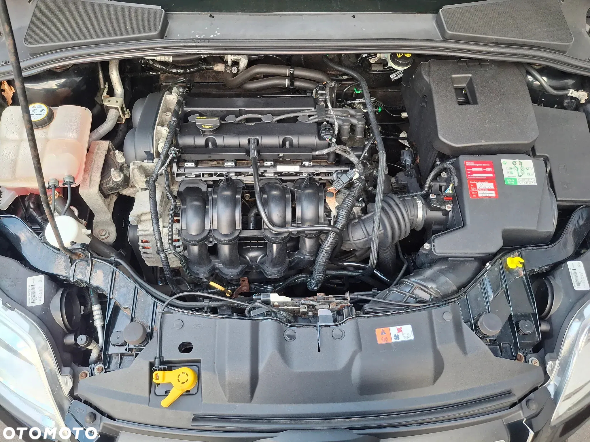 Ford Focus 1.6 Ambiente - 5