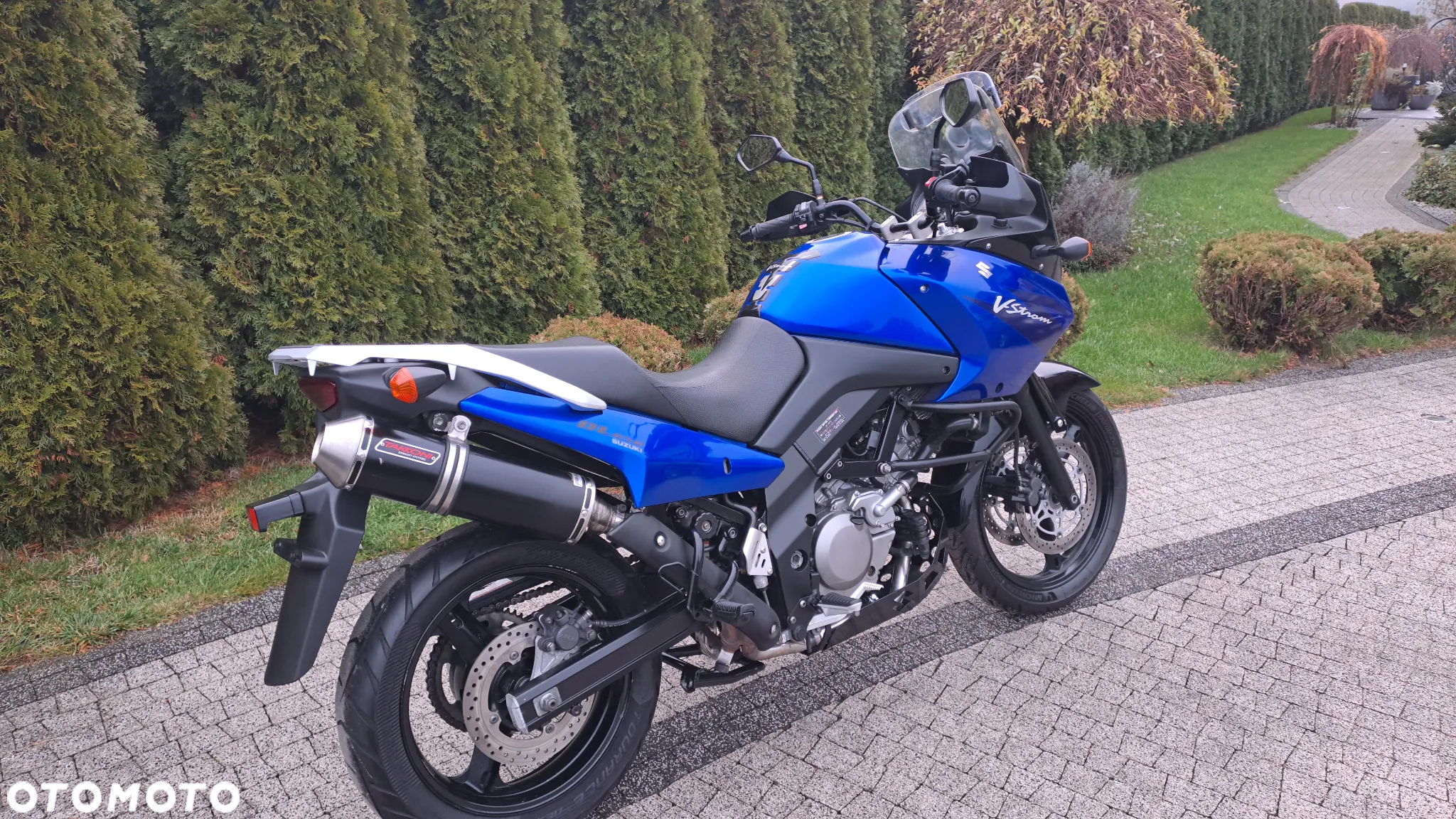 Suzuki DL - 8