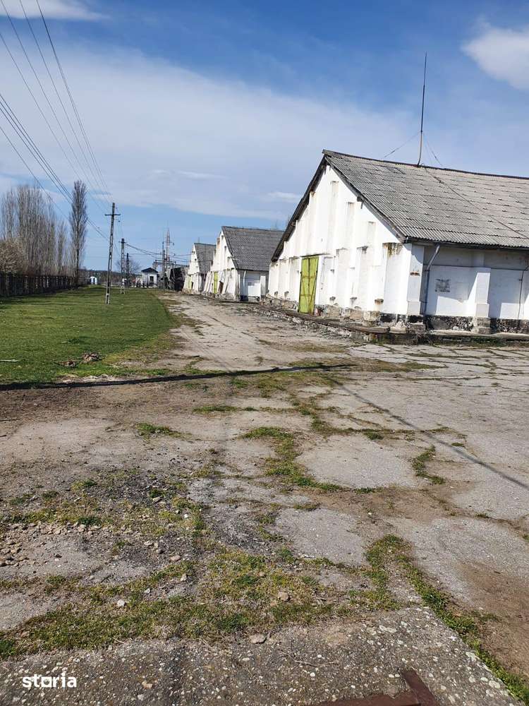 Hala de vânzare, 40.000 mp, utilități incluse - Imagine principală: 5/5