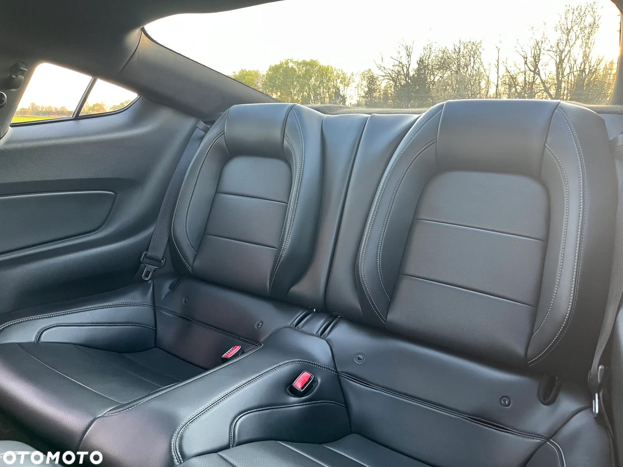 Ford Mustang 5.0 V8 GT - 21