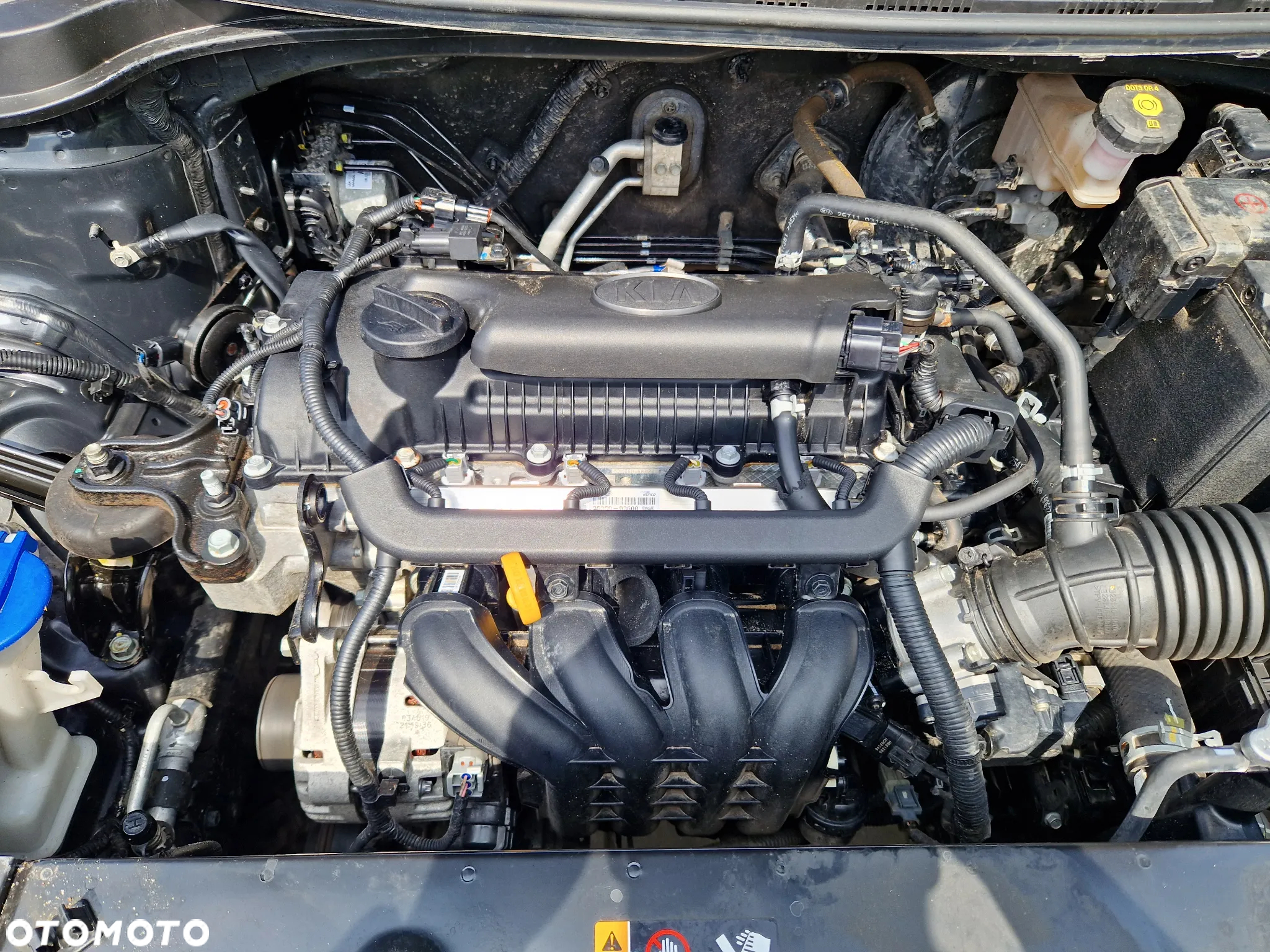 Kia Stonic 1.4 L - 12