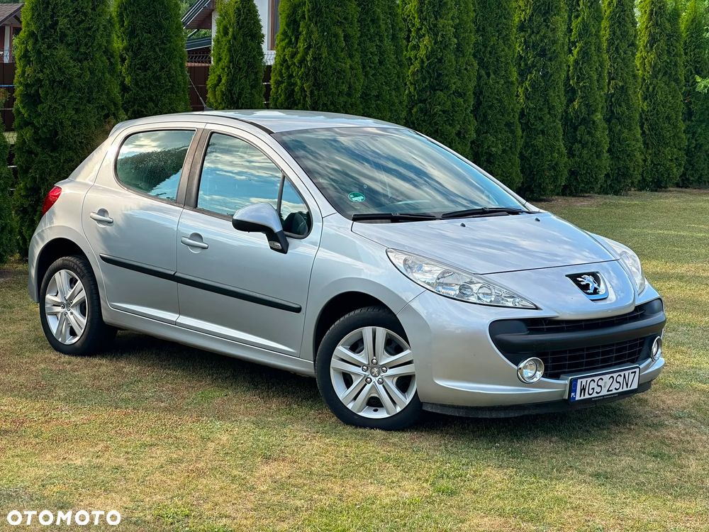 Peugeot 207 - 5