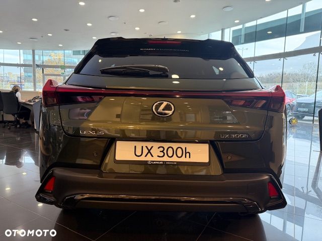 Lexus UX 300h F Sport Design - 6