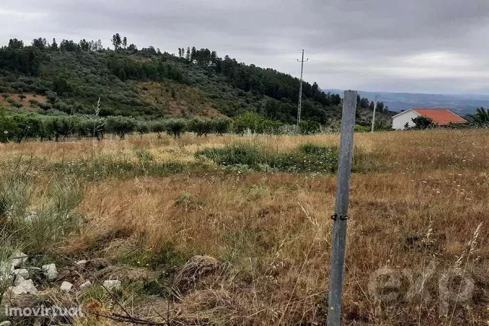 Terreno rústico - Freguesia Bouça - Grande imagem: 2/8