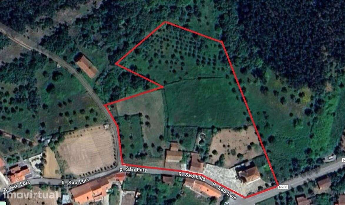 Quinta com 14.920m2 com Moradia T6 e Café em Tomar - Grande imagem: 3/60