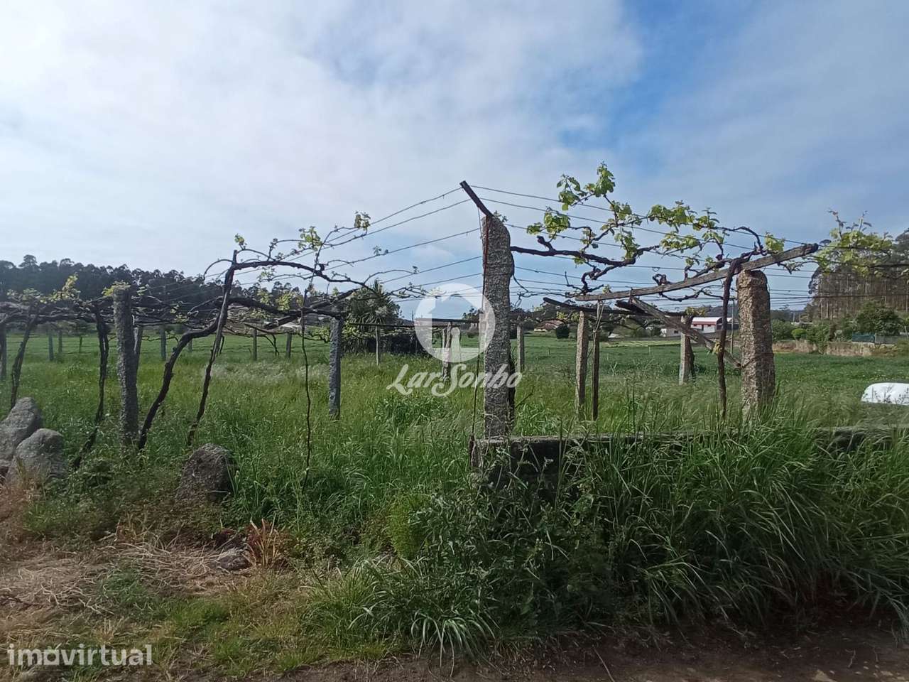 Terreno em Barcelos - Grande imagem: 2/11
