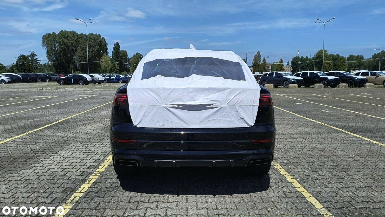 Audi Q8 - 10