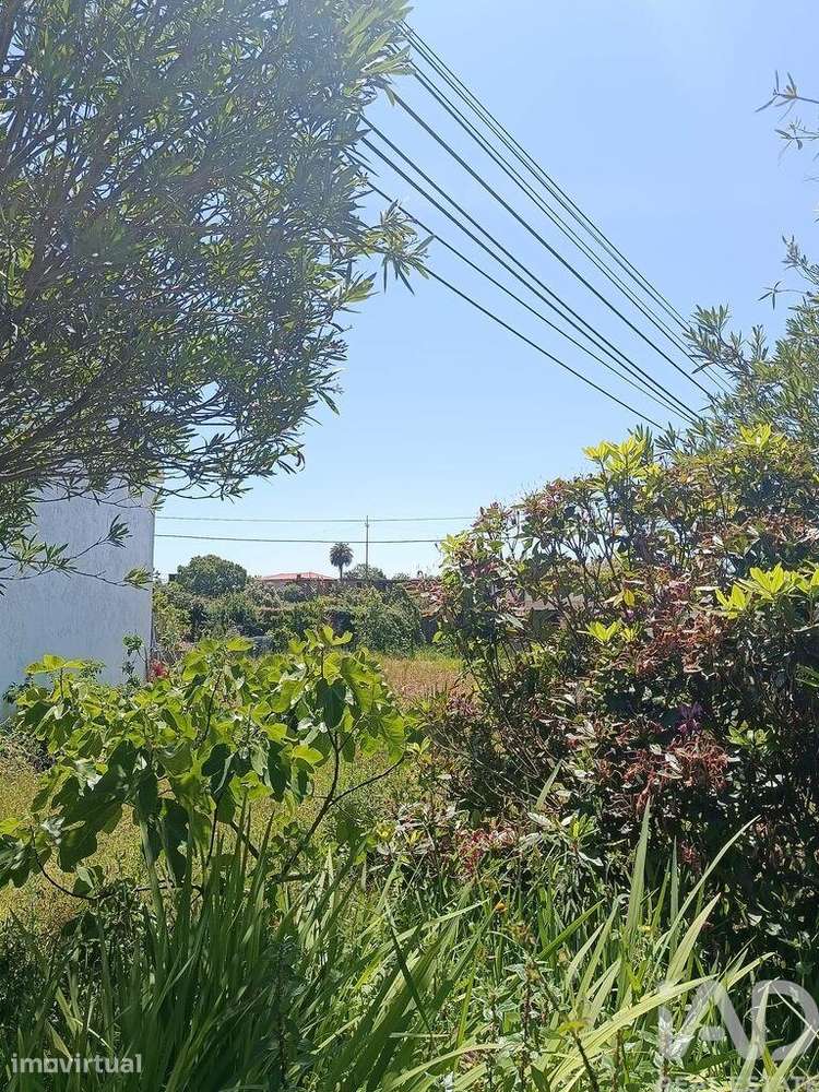 Terreno para construção em Póvoa de Varzim, Beiriz e Argivai - Grande imagem: 3/16