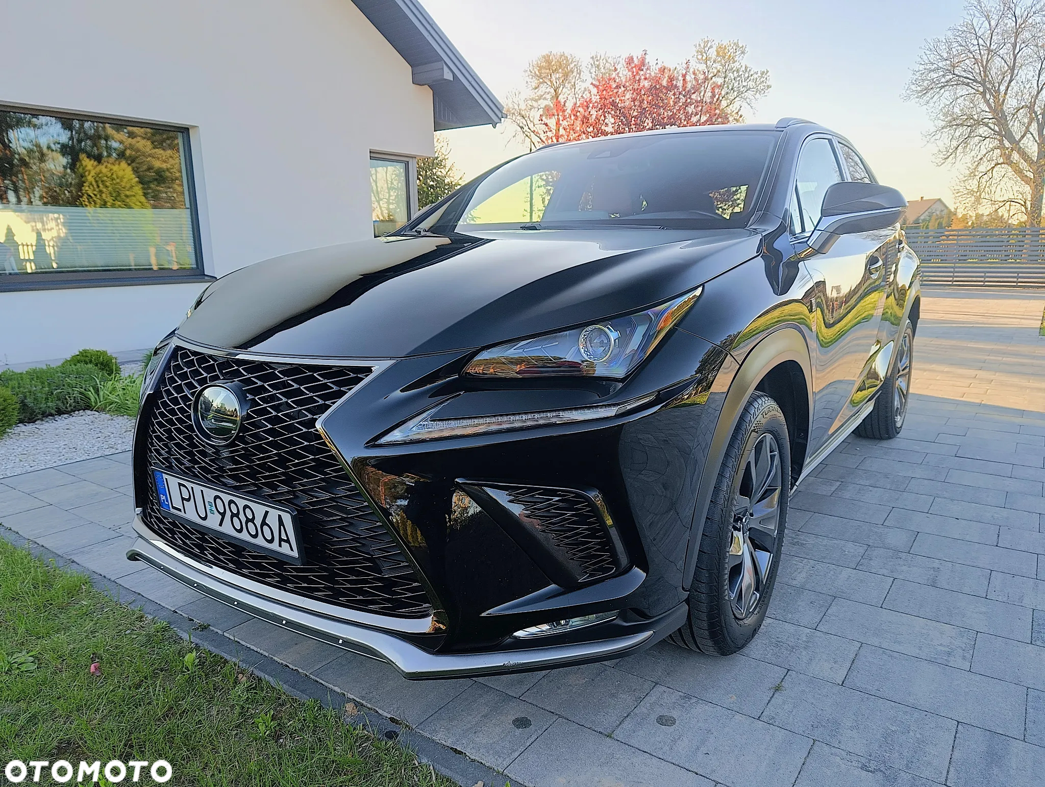 Lexus NX - 5