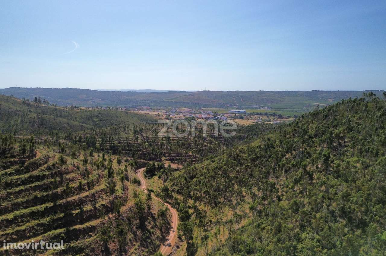 Moradia em Ruina com 86ha de Terreno, em Silves - Grande imagem: 2/15