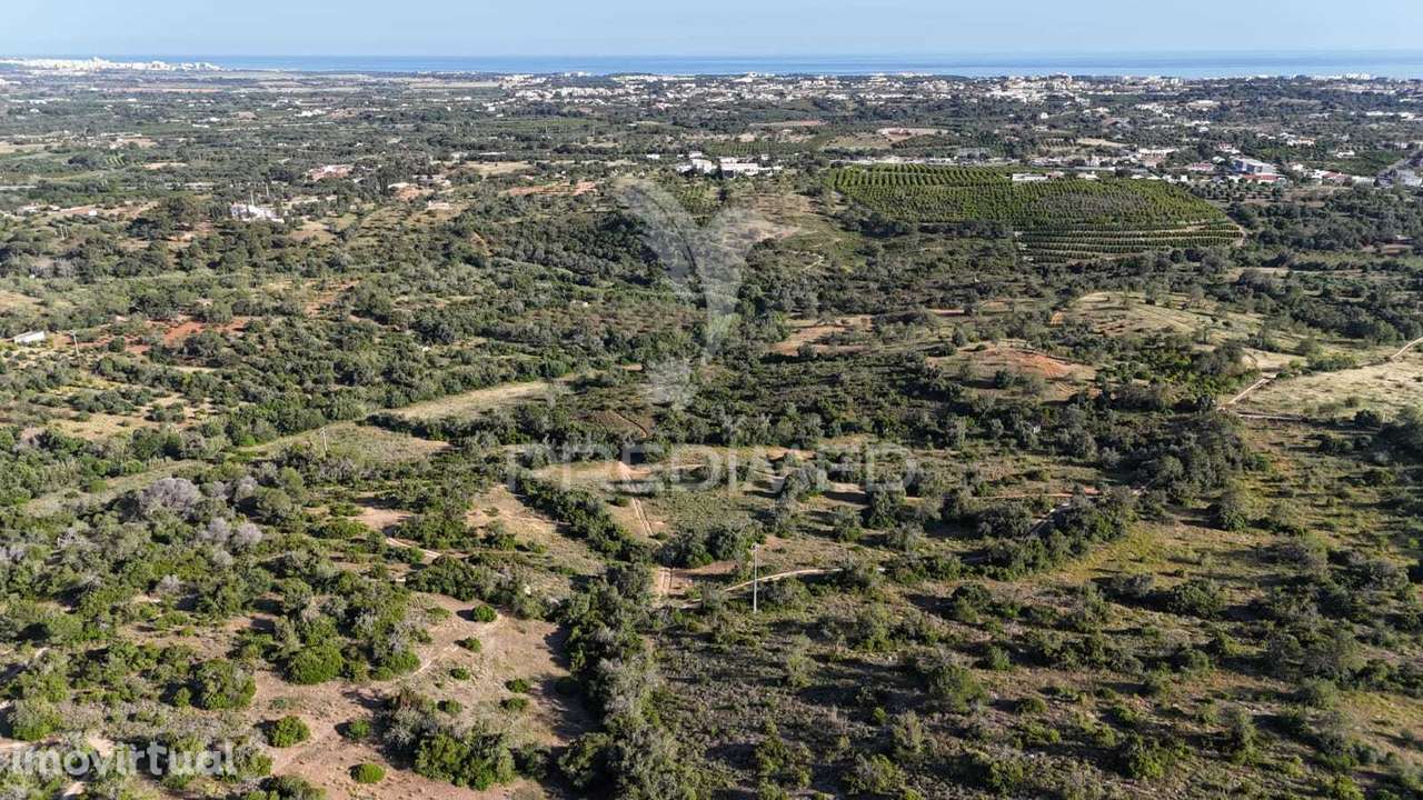 RUINA INSERIDA EM TERRENO COM 4,65 HECTARES COM VISTA PARA O MAR - Grande imagem: 5/6