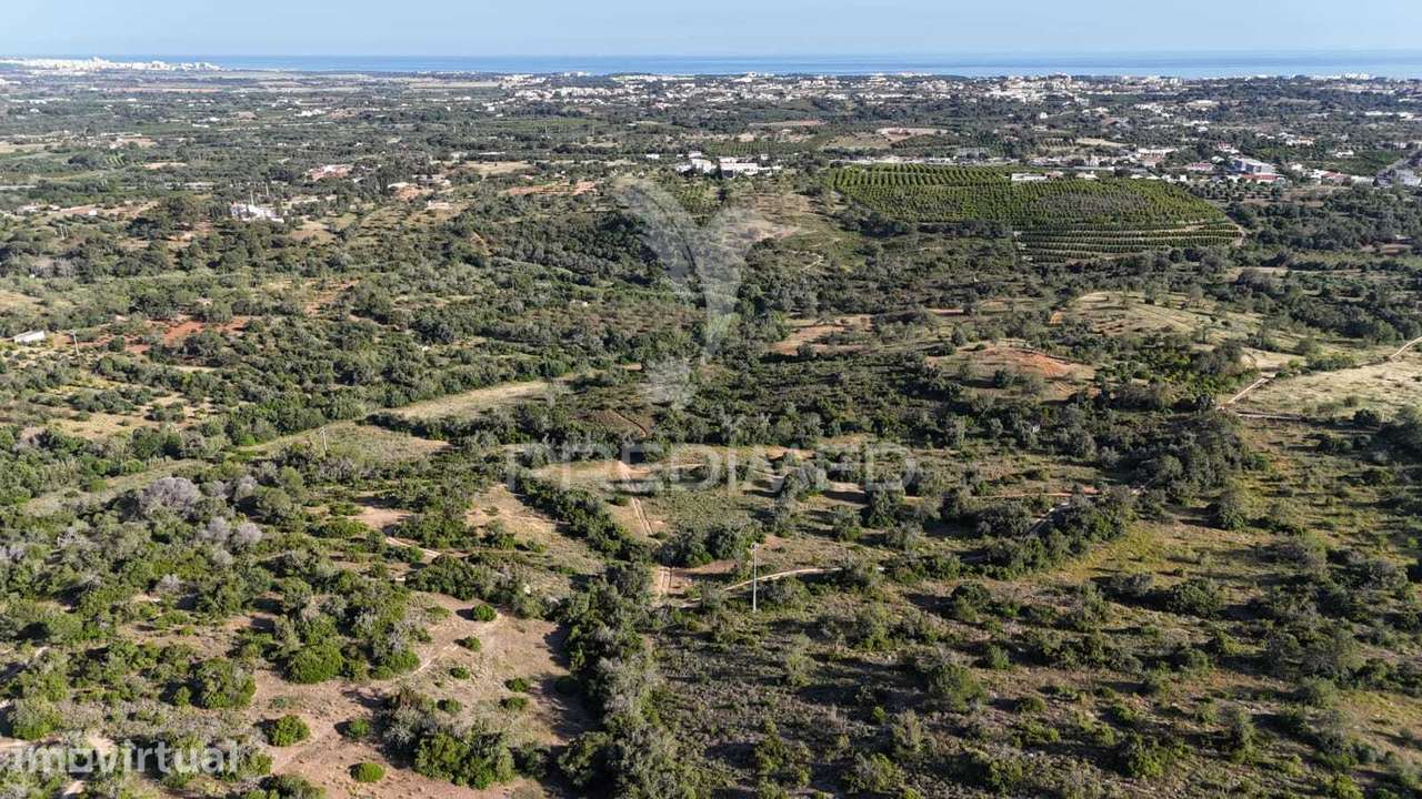 RUINA INSERIDA EM TERRENO COM 4,65 HECTARES COM VISTA PARA O MAR - Grande imagem: 5/6