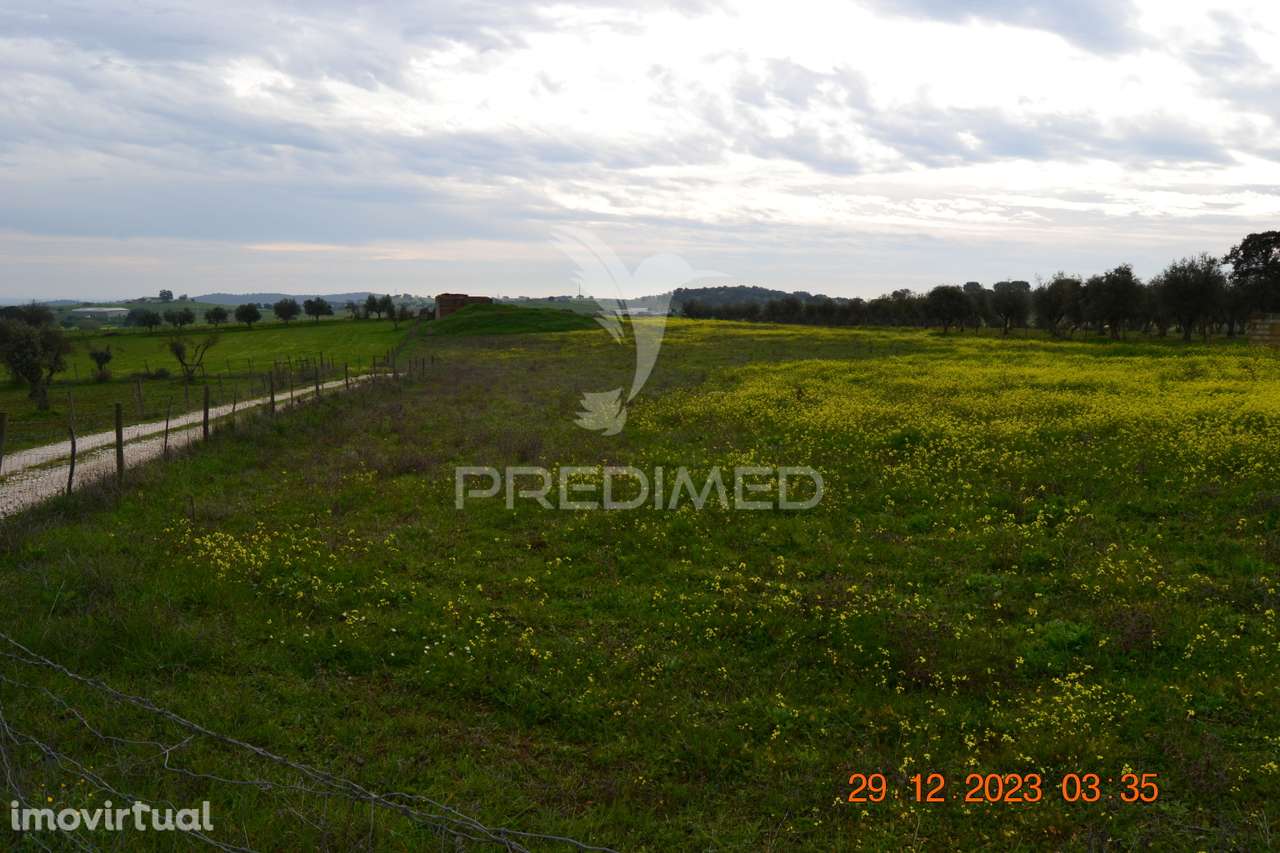 Terreno Rustico - Grande imagem: 5/20