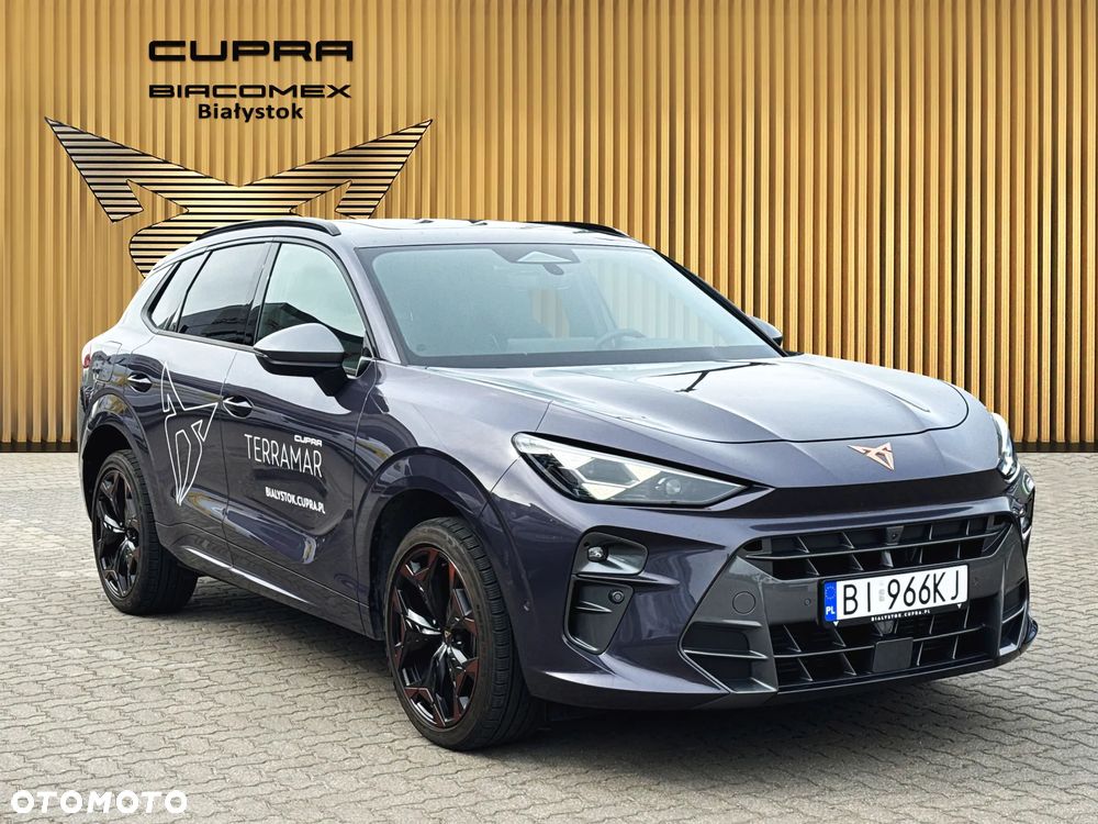 Cupra Terramar 1.5 eTSI mHEV DSG - 7