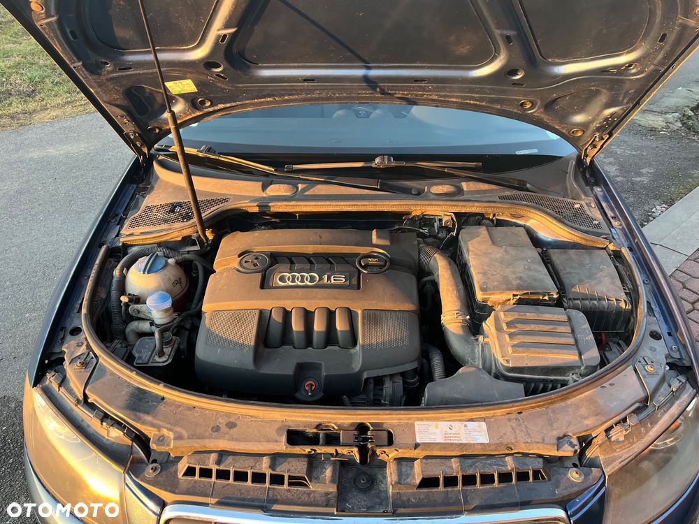 Audi A3 3-drzwiowe 1.6 S line Sportpaket (plus) - 13
