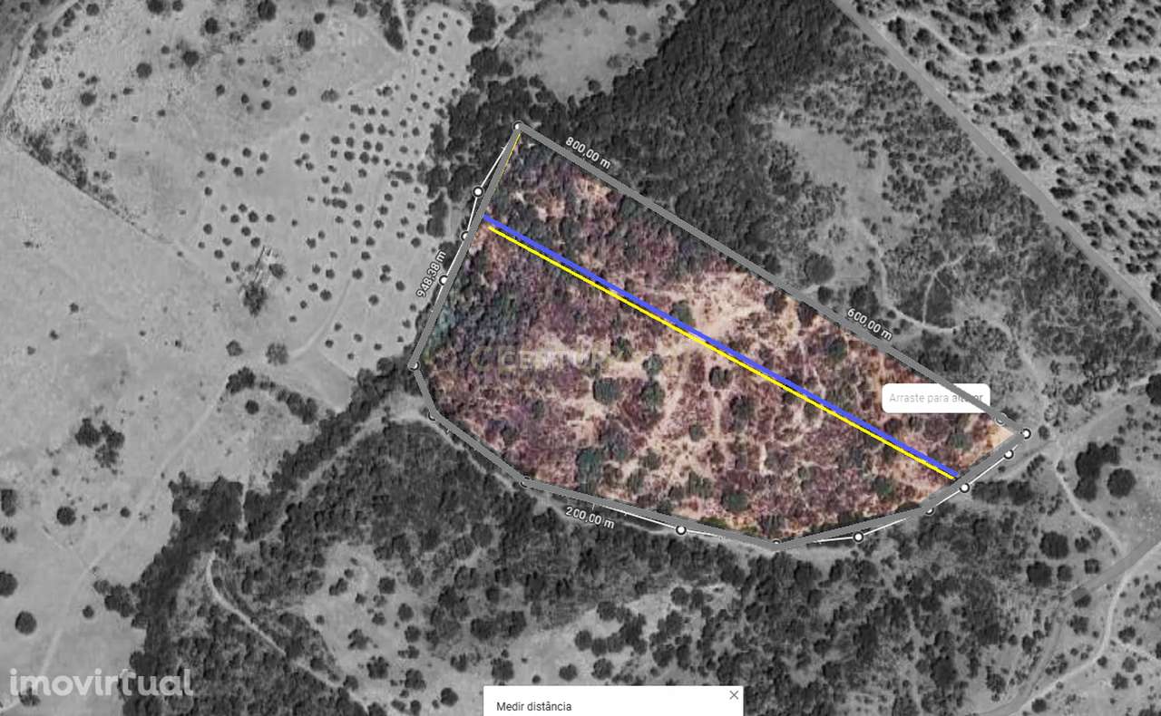 5 hectares  de terreno rústico com 2 cadernetas junto à aldeia dos Mar - Grande imagem: 3/18