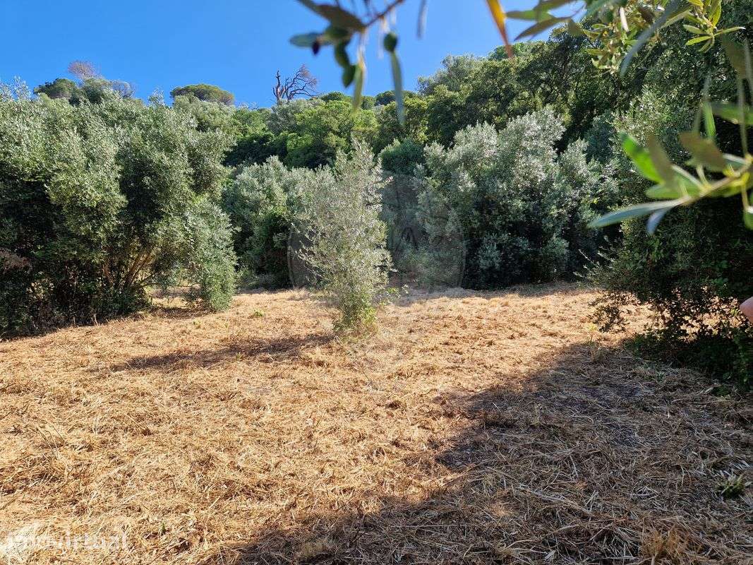 Terreno  para venda - Grande imagem: 2/5
