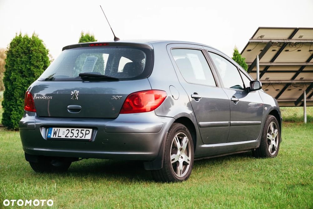 Peugeot 307 1.4 Oxygene - 5