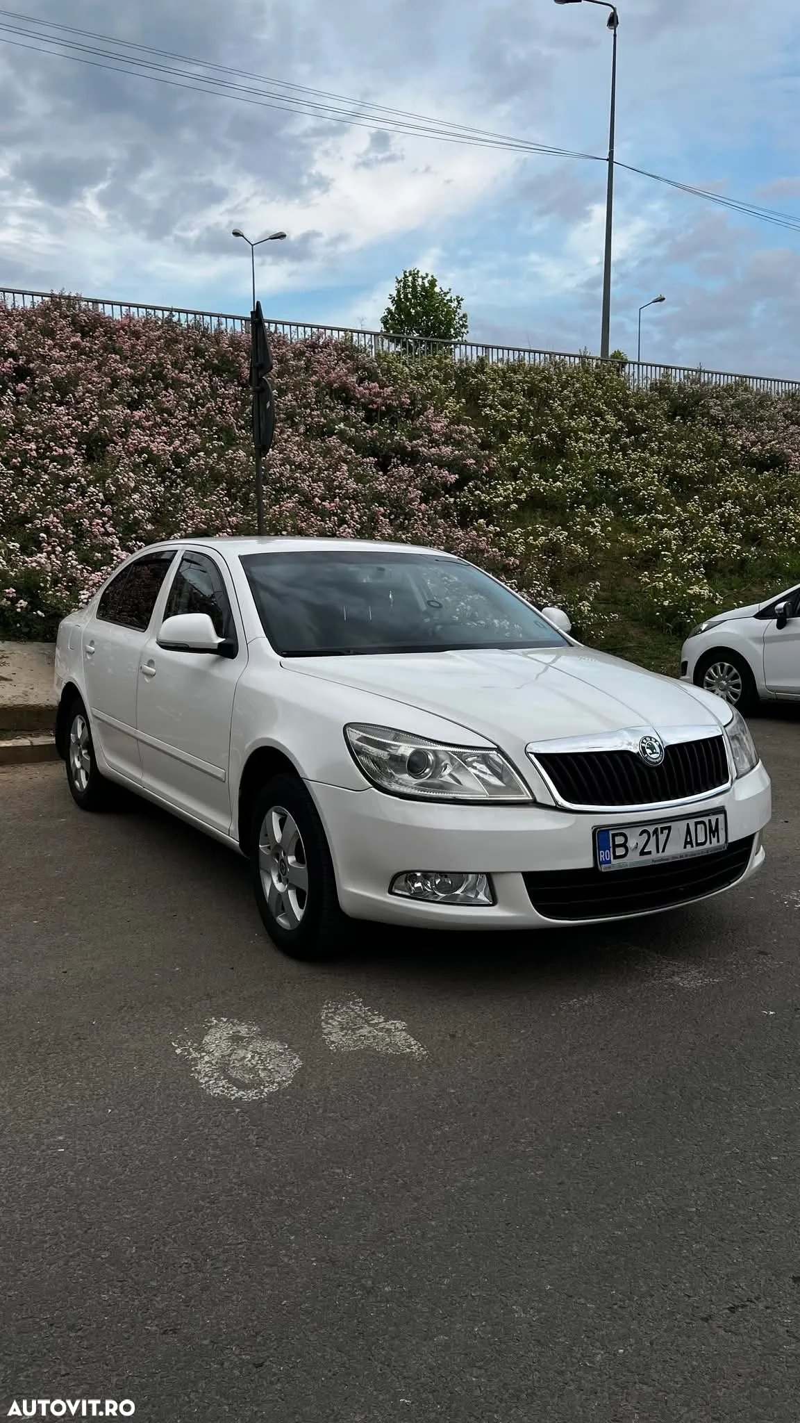 Skoda Octavia 1.6 TDI Drive - 10