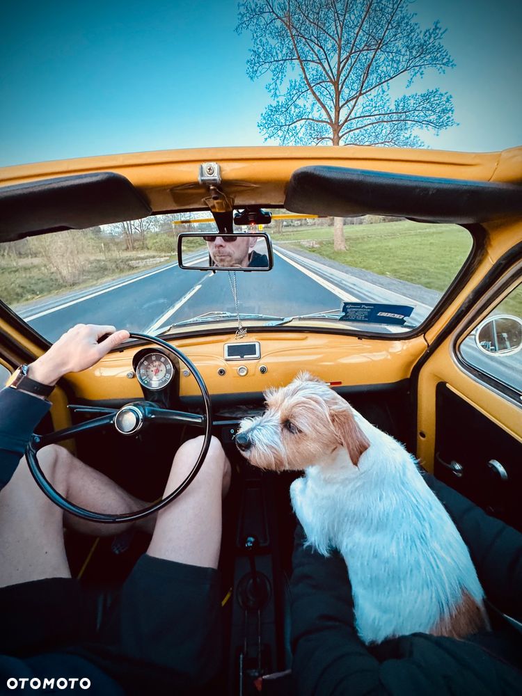 Fiat 500 - 8