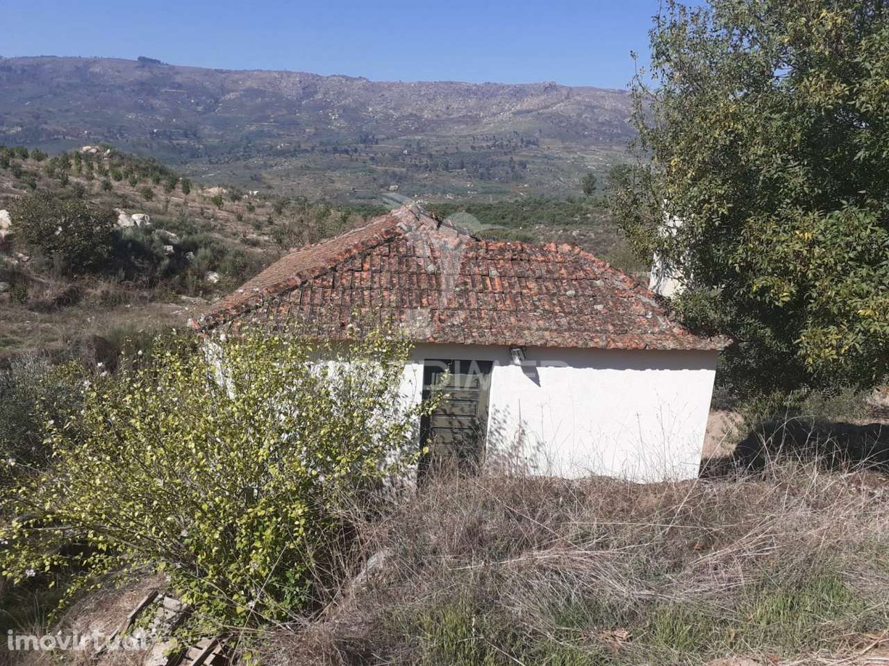 Quinta com mais 4 hectares na Serra da Aldeia Nova - Grande imagem: 2/23