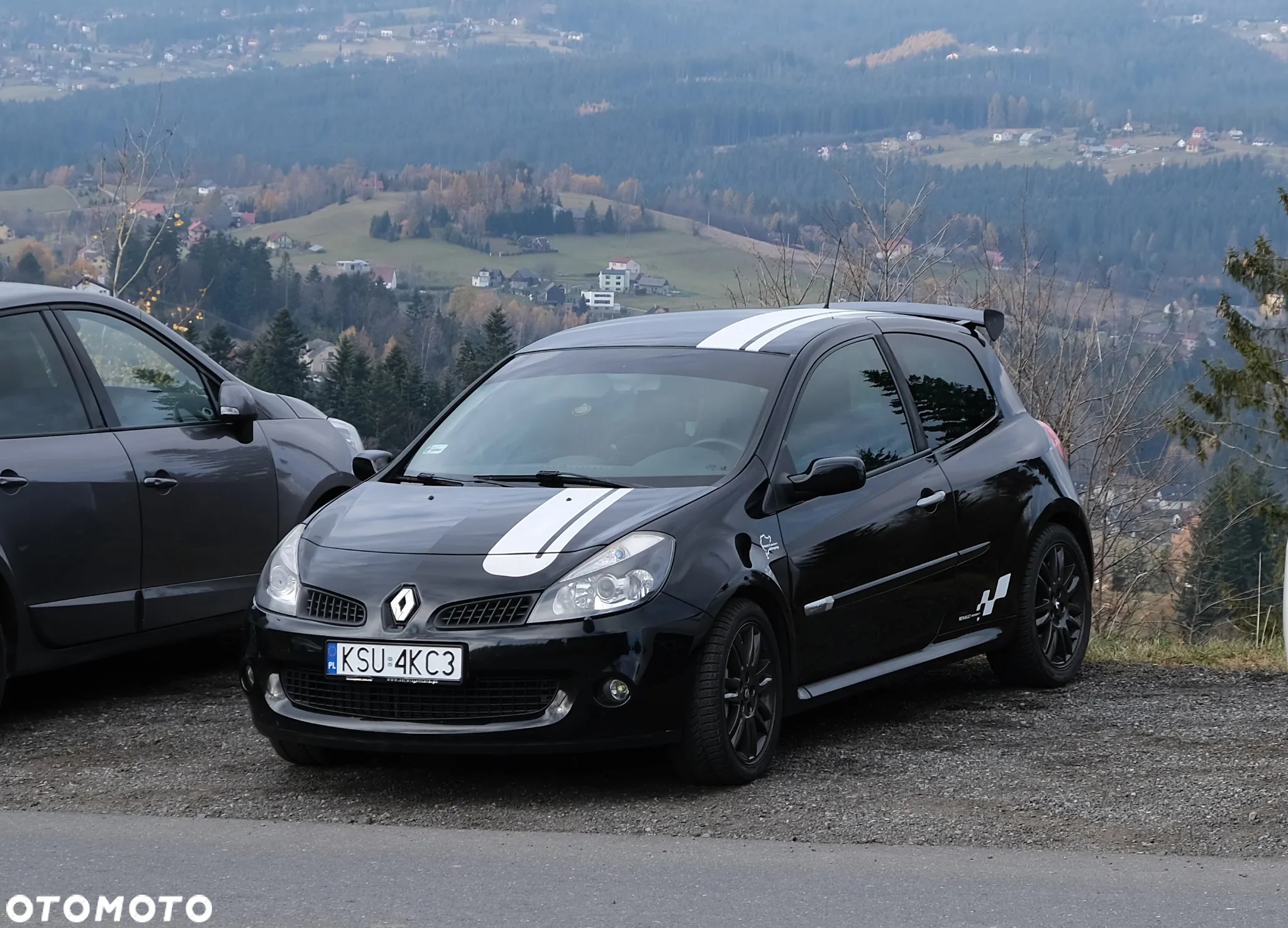 Renault Clio 2.0 16V Sport - 12