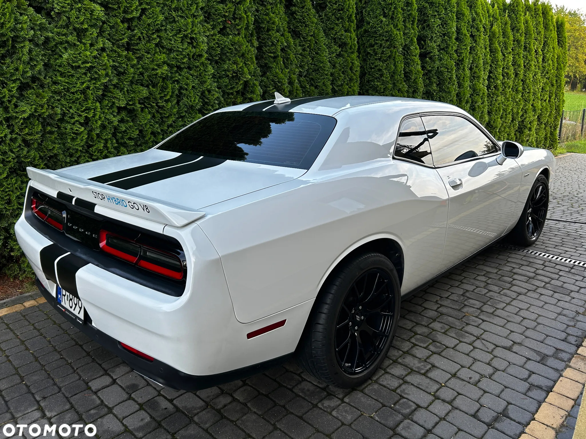 Dodge Challenger Automatik R/T Plus - 7