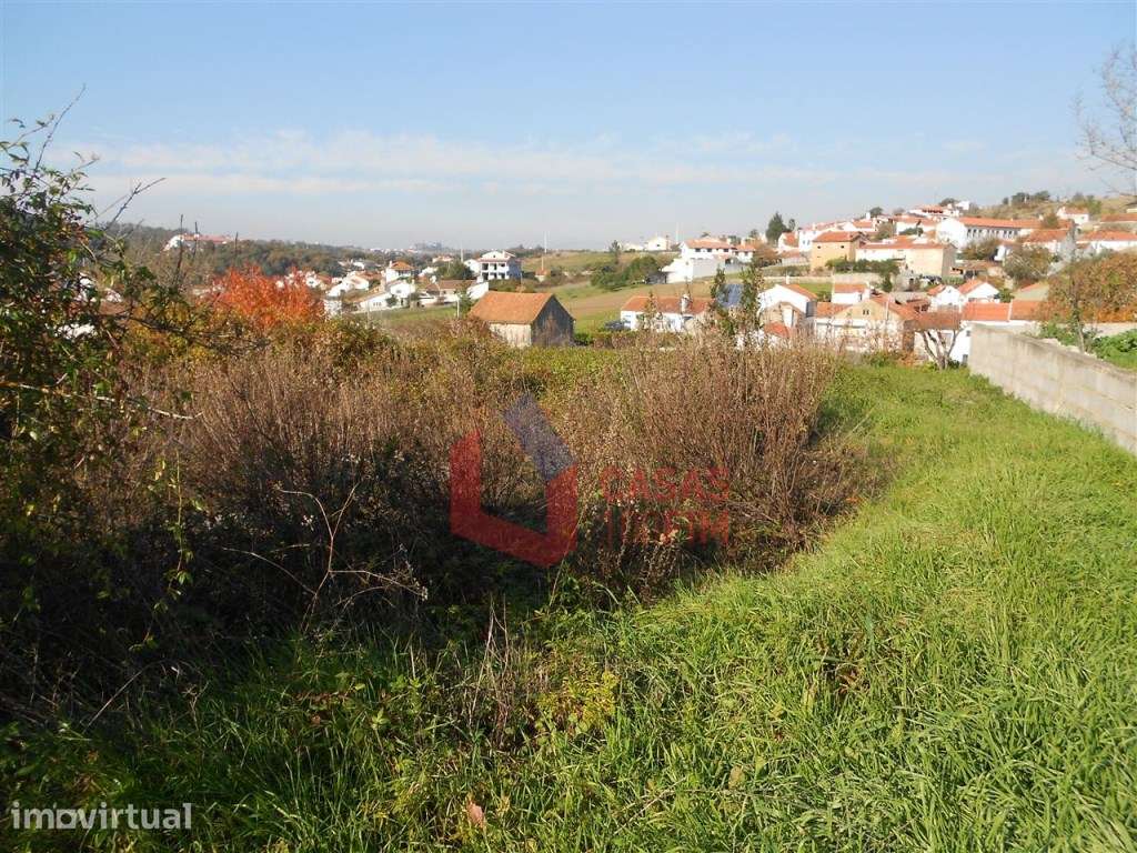- BAIXA DE PREÇO - Terreno de cultura com 4 artigos com 1110m2 no t... - Grande imagem: 2/4