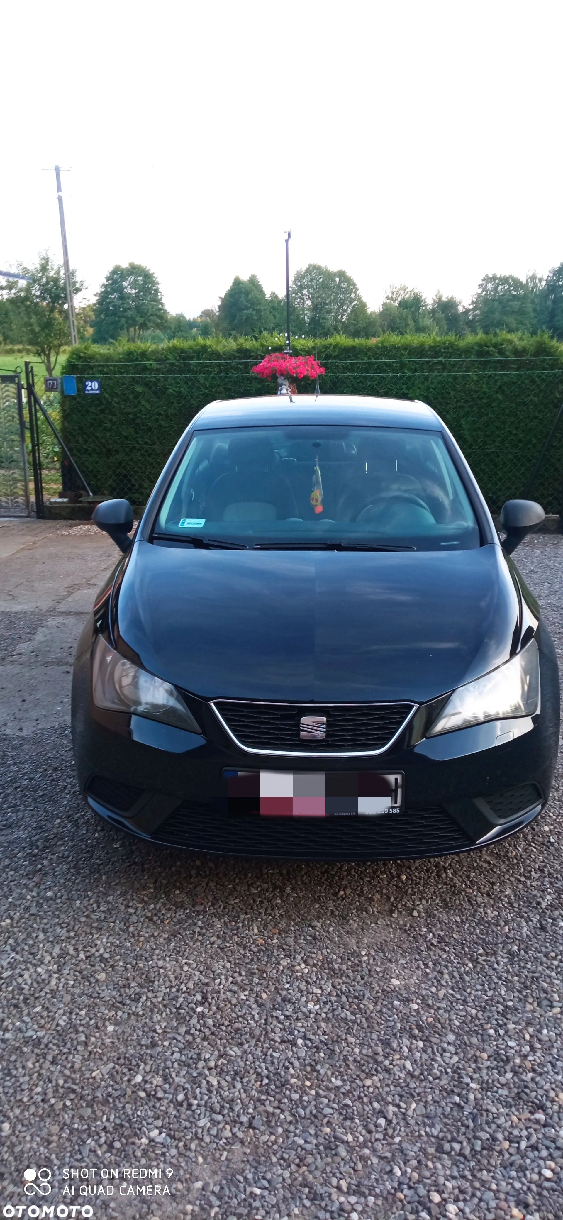 Seat Ibiza - 1