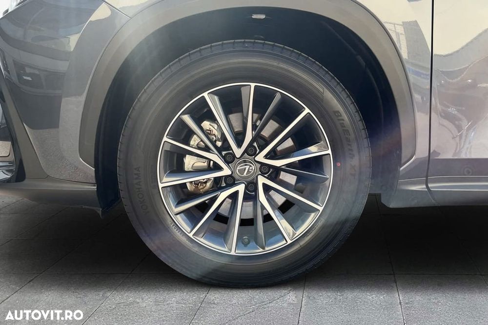 Lexus Seria NX 350h AWD CVT HEV Executive - 10