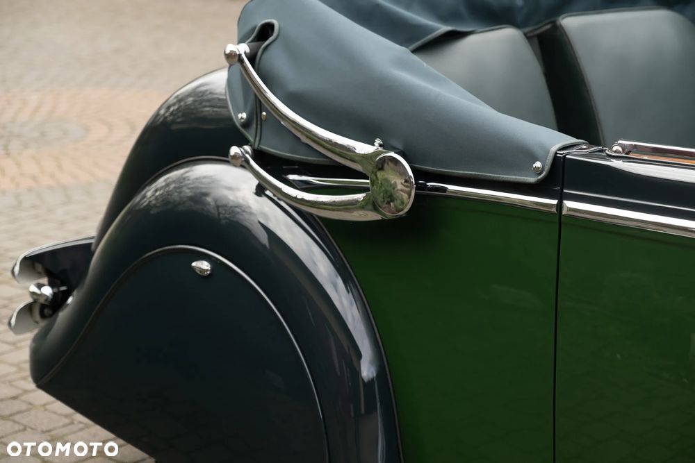 Jaguar Inny - 12
