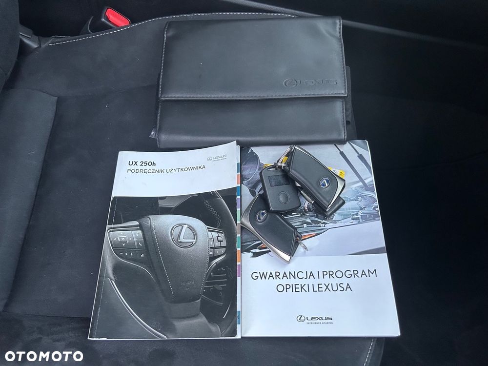 Lexus UX 250h GPF Business Edition 2WD - 33