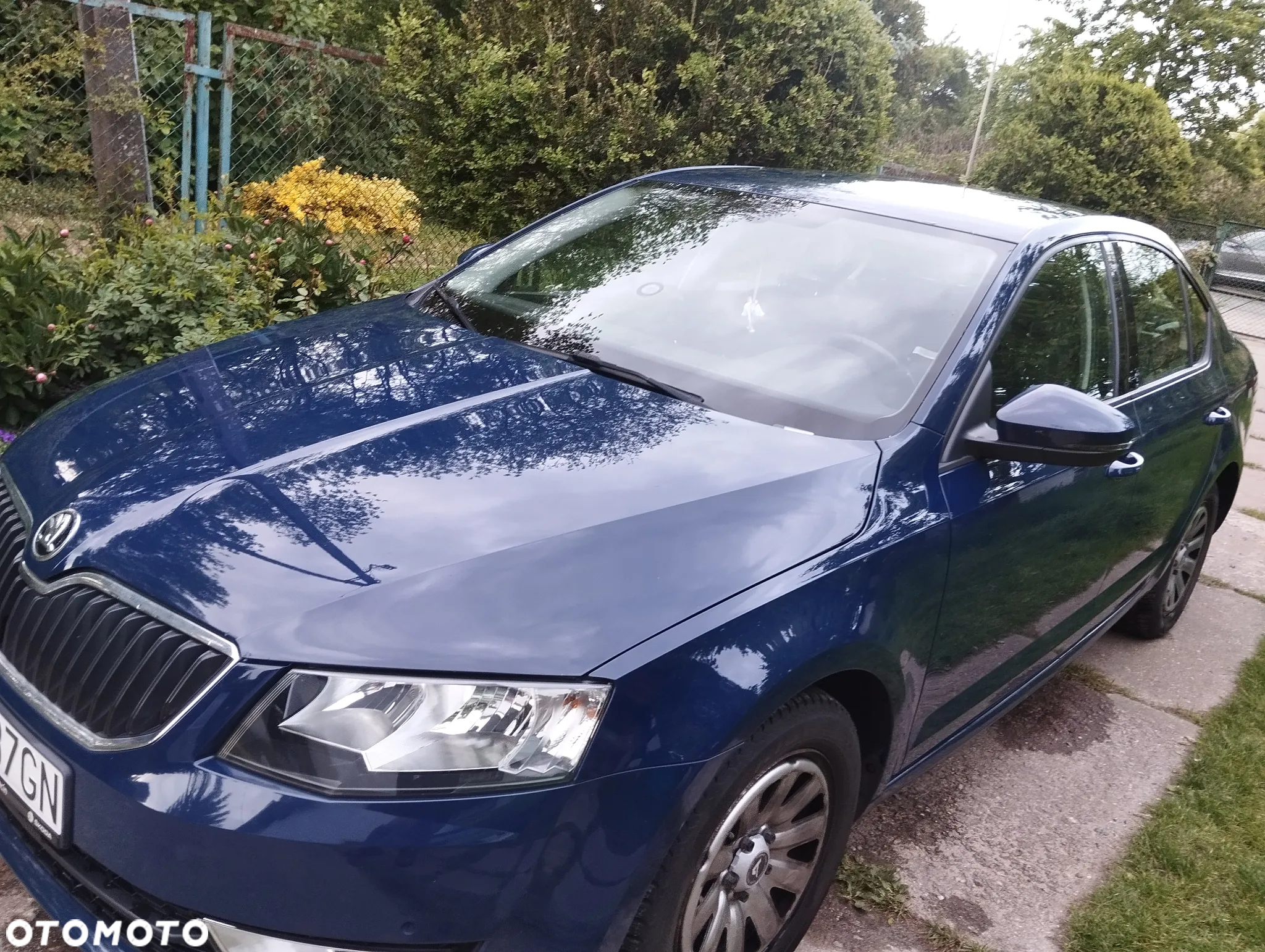 Skoda Octavia - 7