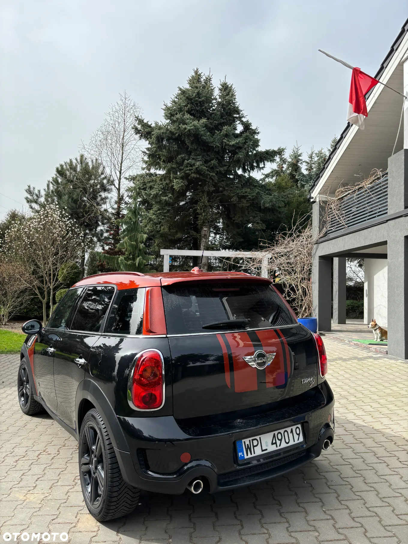 MINI Countryman - 6