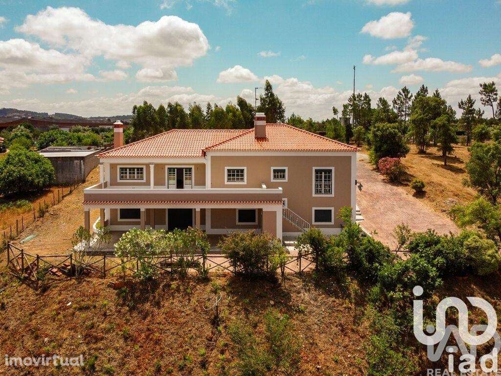 Moradia térrea T3 em Martinchel - Grande imagem: 3/40