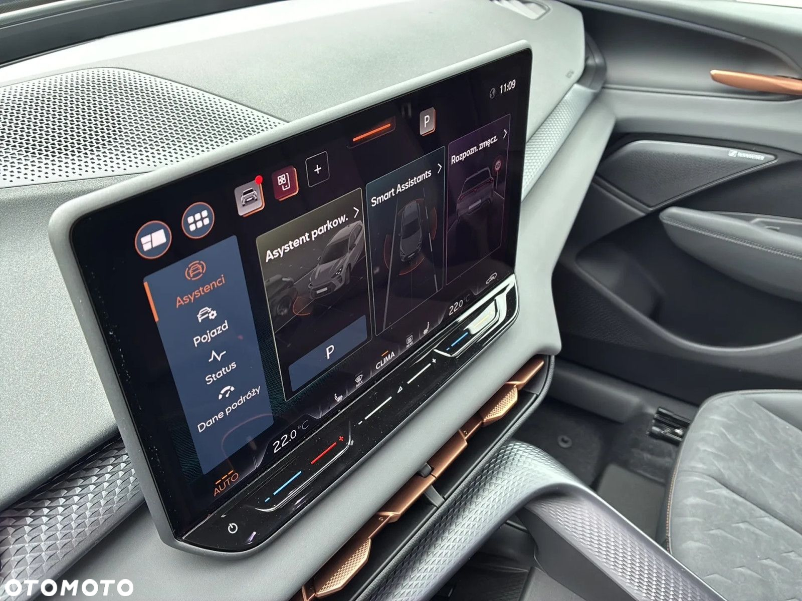Cupra Terramar - 15