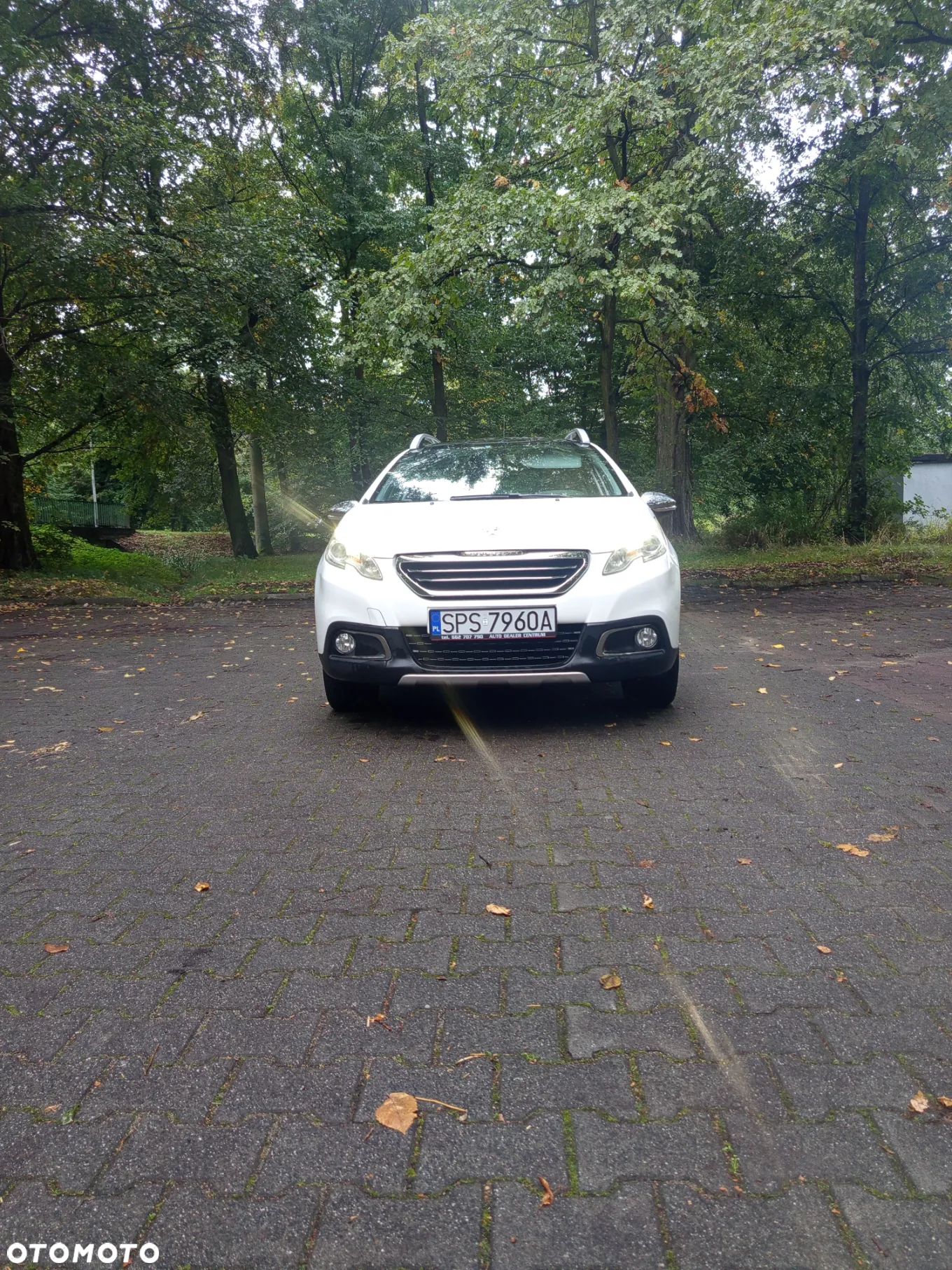 Peugeot 2008 1.6 e-HDi Allure S&S - 1
